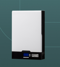 ES4890W - Batería LV Litio 51.2V 90AH (PARED)