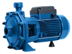 LÍNEA 2CP - CENTRIFUGA DOBLE IMPULSOR ELECTROBOMBA CENTRIFUGA DOBLE IMPULSOR MONOFÁSICA 2CP-45 1HP 380V cod: 1002940